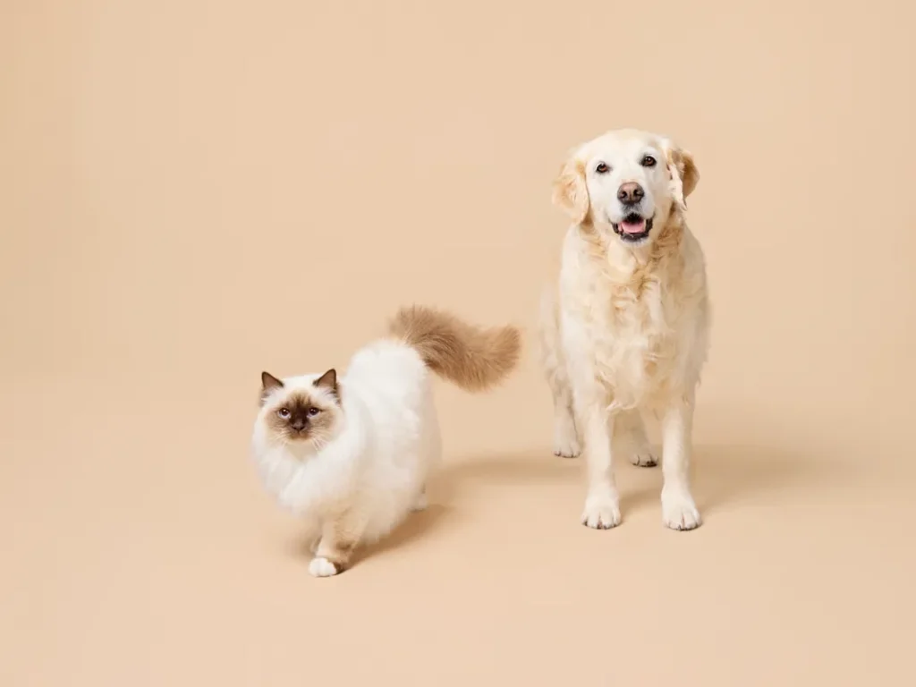Photographe animaux à Bièvres (Essonne - 91) - Véronique Oudot - Mon Aparté