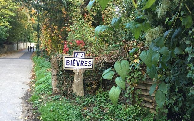photographe famille bièvres essonne