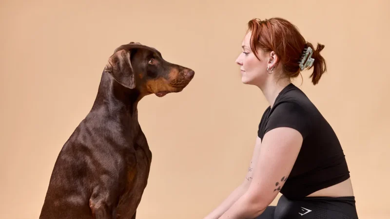 Photographe animaux à Bièvres (Essonne - 91) - Véronique Oudot - Mon Aparté